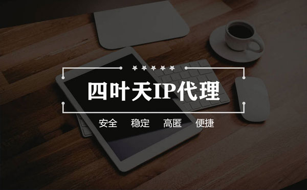 【塔城代理IP】如何快速搭建代理IP？怎么检查代理的效果？